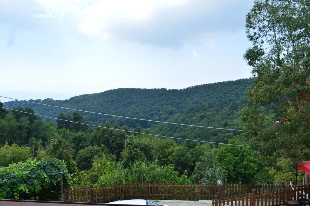 Agriturismo E Turre Serrastretta المظهر الخارجي الصورة